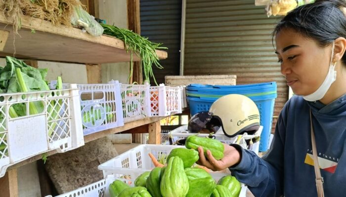 DEN Kaji Suntikan Modal Usaha di Ekosistem MBG, Alokasi KUR 2026 Naik 25 Triliun