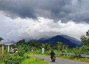 Menhut Raja Juli Klaim 4 Proyek Kehutanan Ini Punya Nilai Ekonomi Rp5 Triliun, Berapa Harga 1 Ton Karbon?