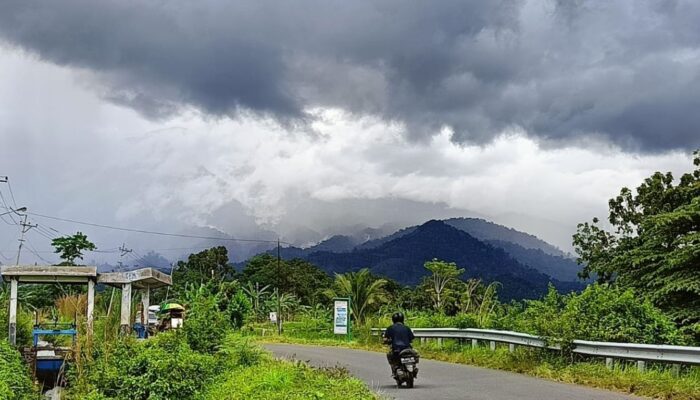 Restorasi Hutan dan Transparansi Blockchain, Cara Indonesia Capai Target FOLU Net Sink 2030