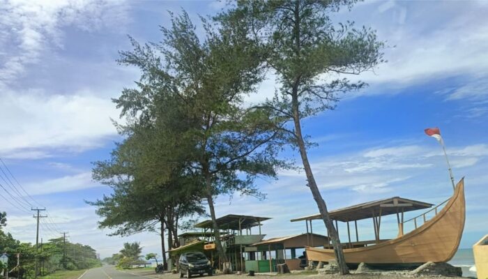 Kenapa Cuaca Dingin? Harga Ikan Laut Terancam Naik, Nelayan Ungkap Waktu Terbaik Memancing